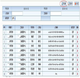 項(xiàng)目人員編制
