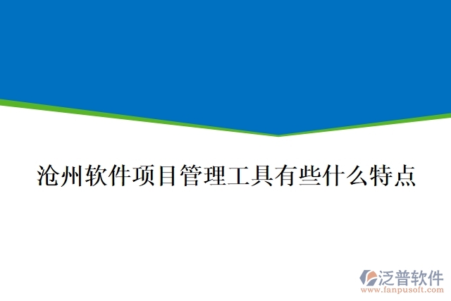滄州軟件項目管理工具有些什么特點