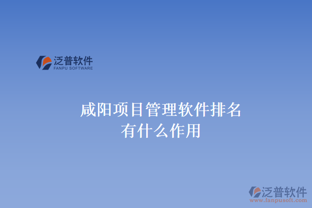 咸陽項(xiàng)目管理軟件排名有什么作用