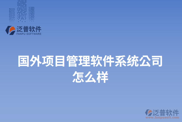 國外項(xiàng)目管理軟件系統(tǒng)公司怎么樣