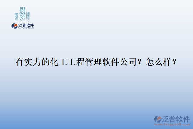 有實力的化工工程管理軟件公司？怎么樣？