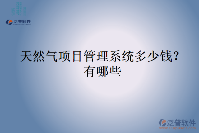 天然氣項目管理系統(tǒng)多少錢？有哪些