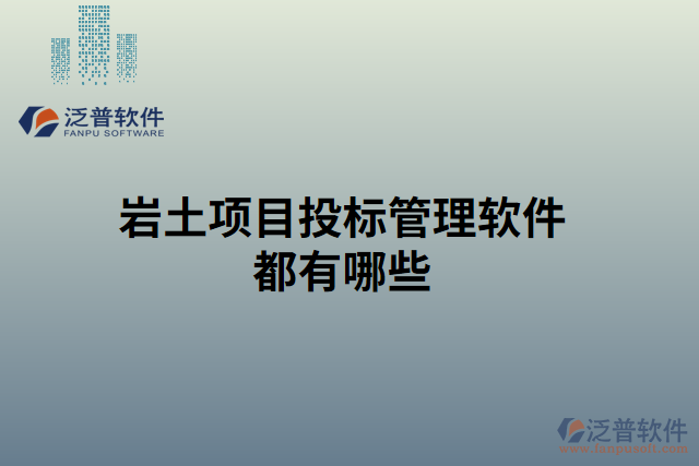 巖土項(xiàng)目投標(biāo)管理軟件都有哪些