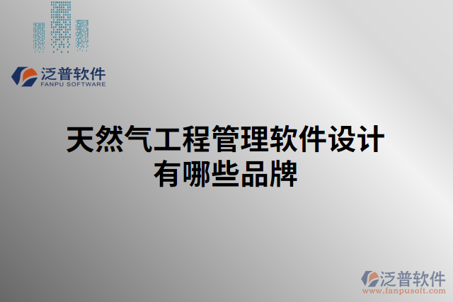 天然氣工程管理軟件設(shè)計有哪些品牌