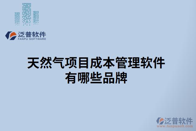 天然氣項(xiàng)目成本管理軟件有哪些品牌