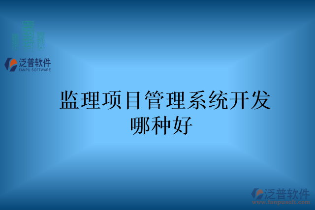 監(jiān)理項目管理系統(tǒng)開發(fā)哪種好