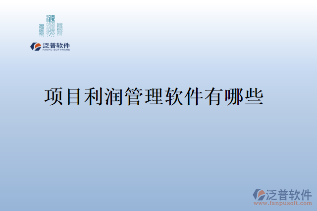 項(xiàng)目利潤管理軟件有哪些
