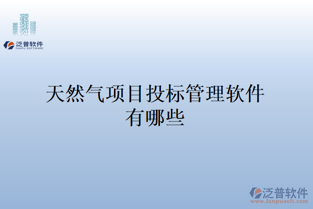 天然氣項目投標管理軟件有哪些