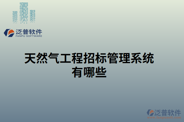 天然氣工程招標(biāo)管理系統(tǒng)有哪些