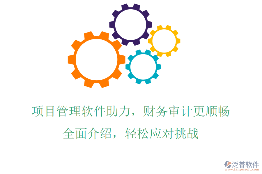 項目管理軟件助力，財務(wù)審計更順暢，全面介紹，輕松應(yīng)對挑戰(zhàn)