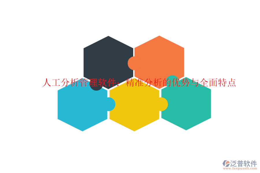 人工分析管理軟件:精準(zhǔn)分析的優(yōu)勢與全面特點(diǎn)