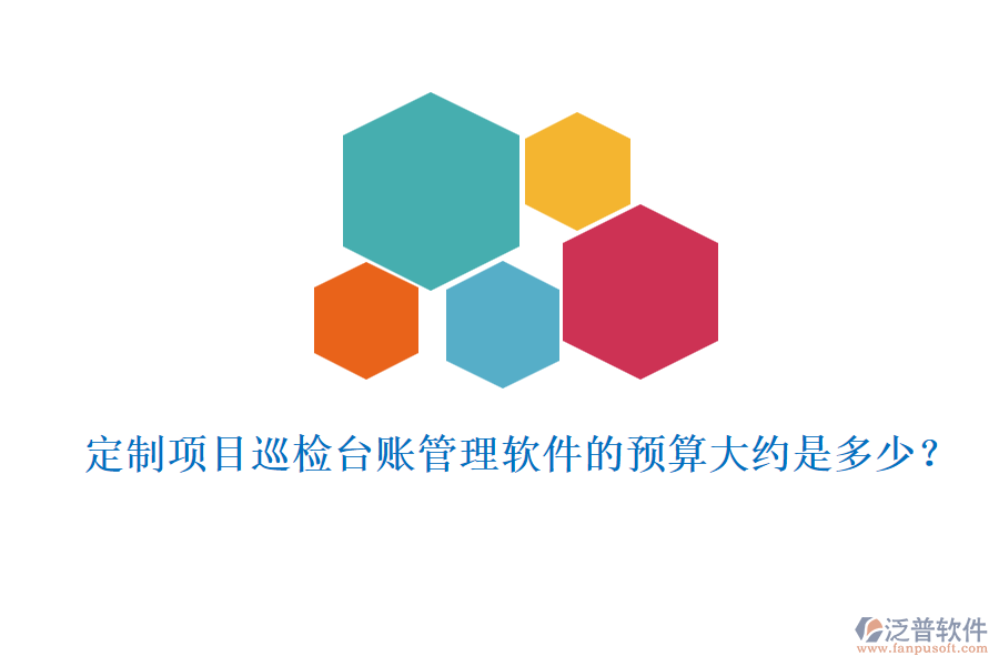 定制項目巡檢臺賬管理軟件的預(yù)算大約是多少？