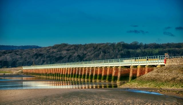 虎門tod項目保利時區(qū)園林實景拍攝