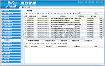 建筑工程項目質(zhì)量與安全管理