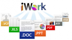 關(guān)于無紙化辦公OA系統(tǒng)。領(lǐng)導(dǎo)不會(huì)使用電腦如何解決呢？