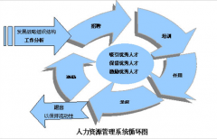 人力資源管理系統(tǒng)有哪些產(chǎn)品？