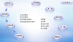 出納的財務(wù)軟件怎么用？