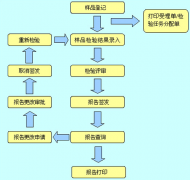 企業(yè)為什么要進(jìn)行信息管理系統(tǒng)開發(fā)？