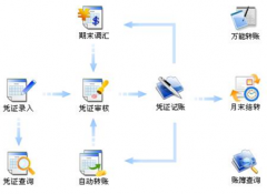 財務(wù)軟件是否有網(wǎng)絡(luò)版的？