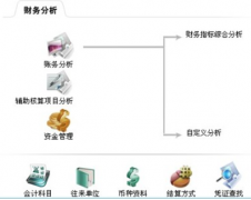 財(cái)務(wù)軟件免費(fèi)版的優(yōu)缺點(diǎn)有哪些？