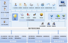 區(qū)域衛(wèi)生信息化是新醫(yī)改的必要條件！