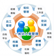 國內(nèi)人事軟件的排名是什么樣的情況？有知道的么？