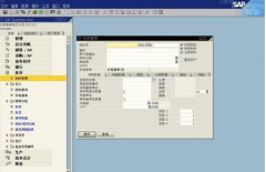 在哪里能下載到SAP財(cái)務(wù)軟件呢？