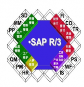 SAP是不是屬于財(cái)務(wù)軟件類？