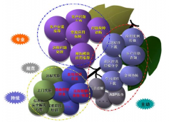 金和OA軟件好不好？有沒(méi)有人知道呢？