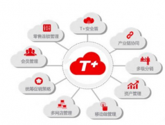 用友t+(U盤版)這個(gè)軟件怎么樣？
