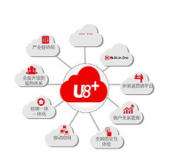 用友U8軟件問題，誰遇到過?。?>
                    </a>
                </div>
                <div   id=