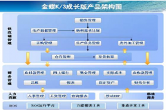 金蝶K3軟件求助？